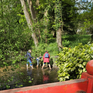 Les petits observateurs.